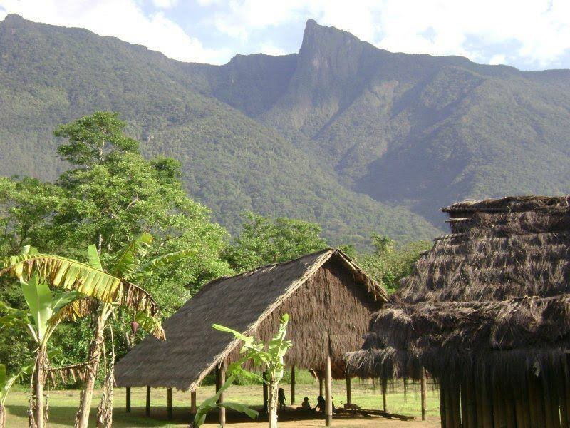 ALDEIA RENASCER YWYTY GUAÇU 1