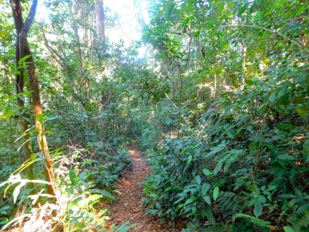 ILHA GRANDE – ANGRA DOS REIS 2