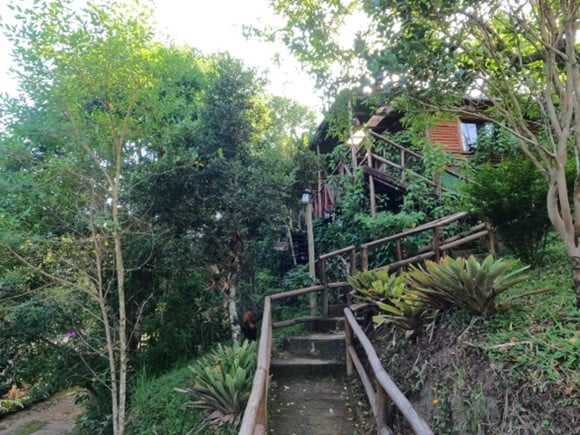 PARQUE ESTADUAL DA SERRA DO MAR 1