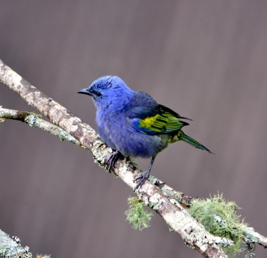 POUSADA OIKÓS – CATUÇABA 3