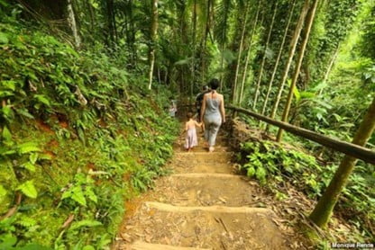 TRILHA CAMINHO DO OURO – PARATY 1
