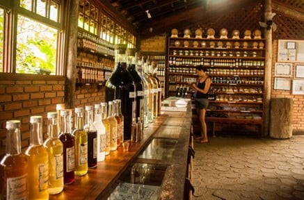 TRILHA CAMINHO DO OURO – PARATY 3