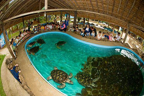 CREATOR: gd-jpeg v1.0 (using IJG JPEG v62), quality = 80