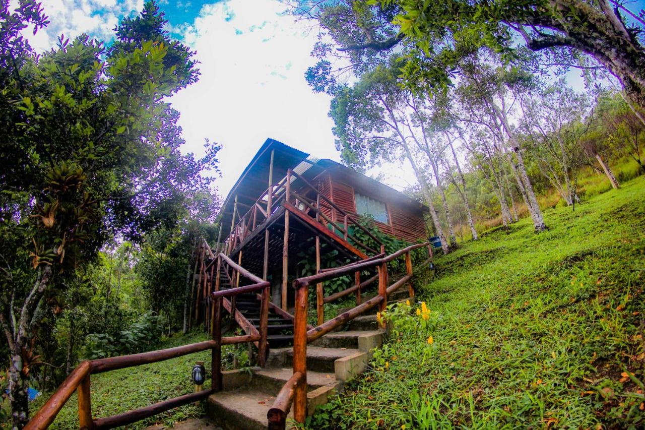 WhatsApp Image 2024-07-09 at 13.17.23 (1)