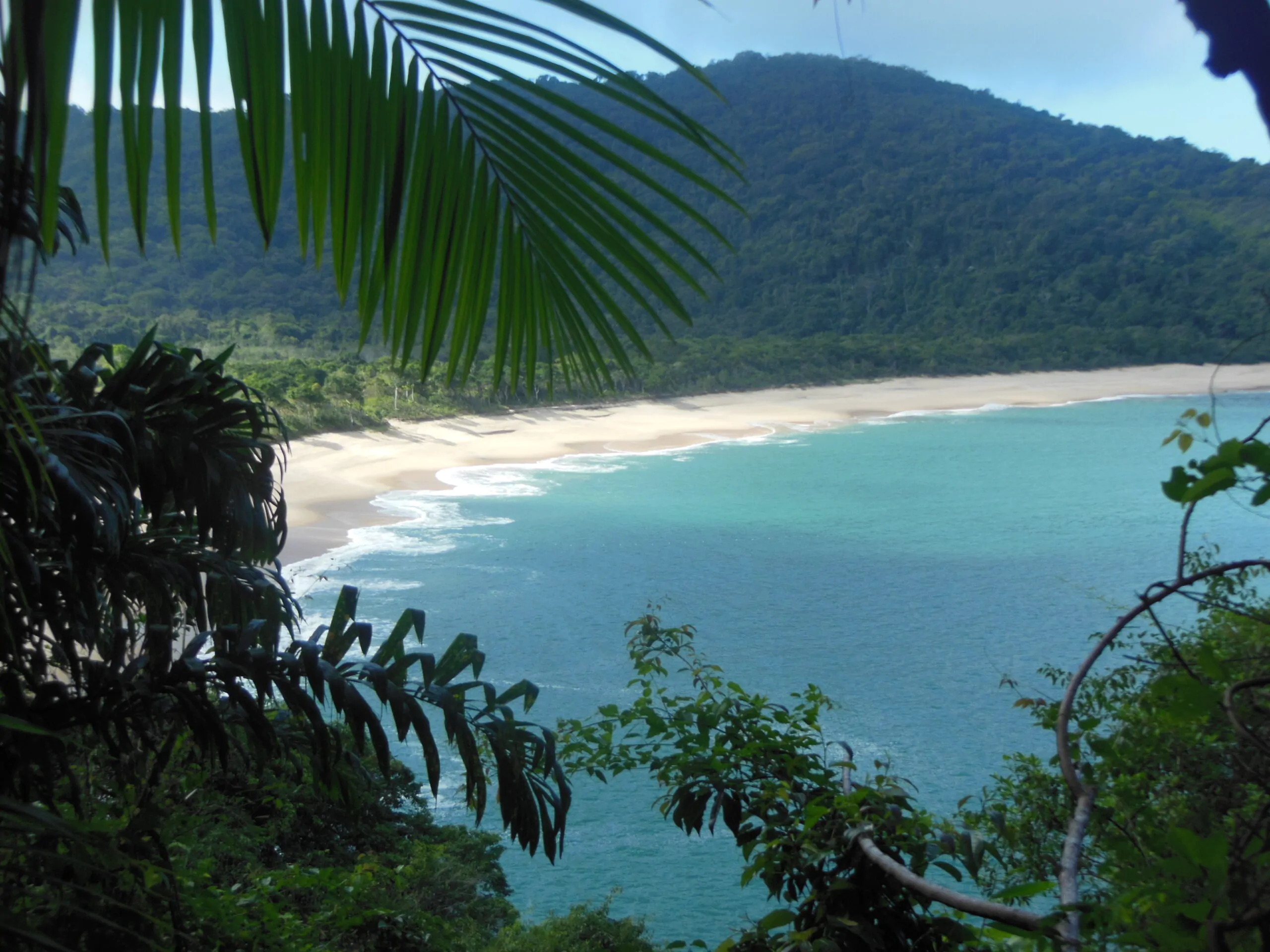 Visão panorâmica de uma praia