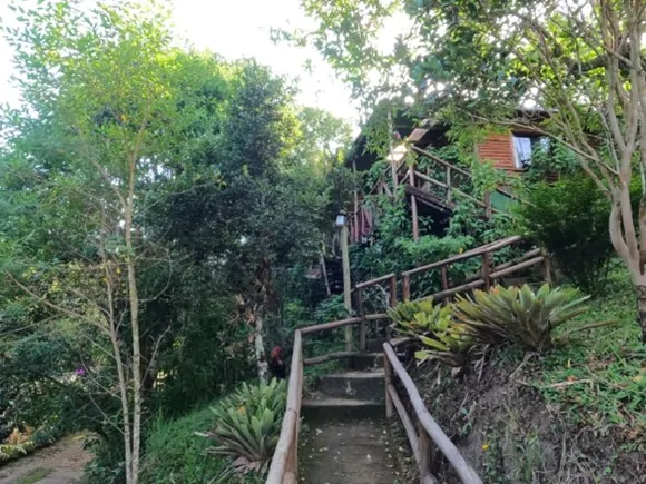 PARQUE ESTADUAL DA SERRA DO MAR 1