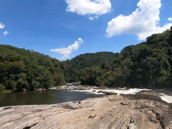 PARQUE ESTADUAL DA SERRA DO MAR 2