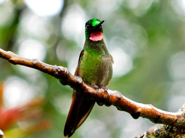 POUSADA OIKÓS – CATUÇABA 2