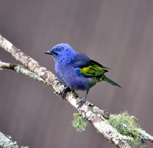 POUSADA OIKÓS – CATUÇABA 3