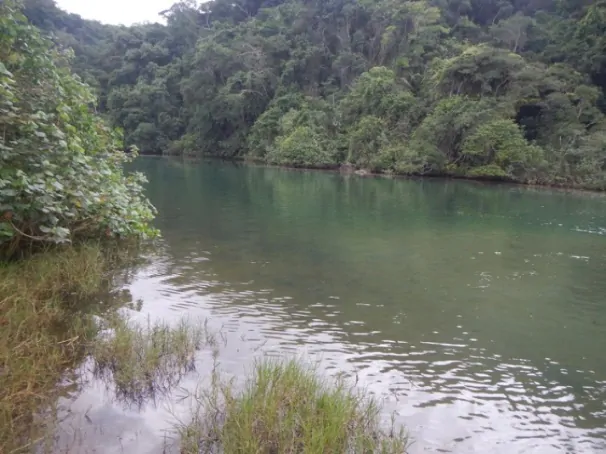 PRAIA DO PURUBA – VIA CASANGA 3