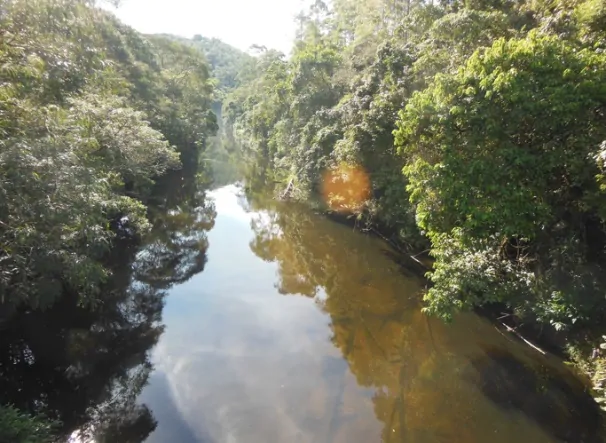 SANTA VIRGÍNIA – CATUÇABA – 2