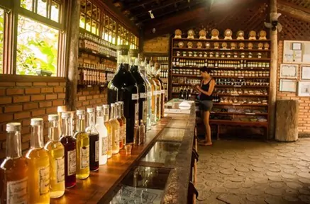 TRILHA CAMINHO DO OURO – PARATY 3