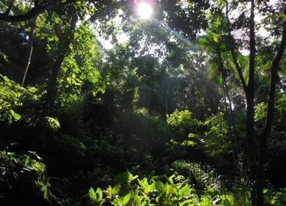 TRILHA DAS SETE FONTES 1