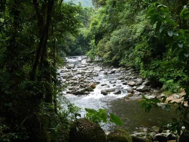 TRILHA DO JATOBÁ – POÇO DA RASA – QUILOMBO DA FAZENDA 1