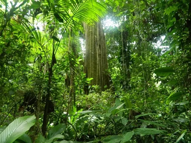 TRILHA DO JATOBÁ – POÇO DA RASA – QUILOMBO DA FAZENDA 2