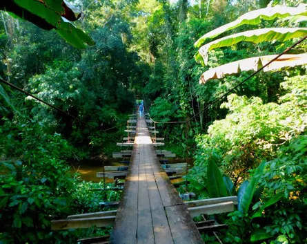 TRILHA DO TROMBADOR 1