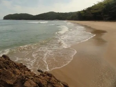 TRILHA ENGENHO – BRAVA DA ALMADA 2