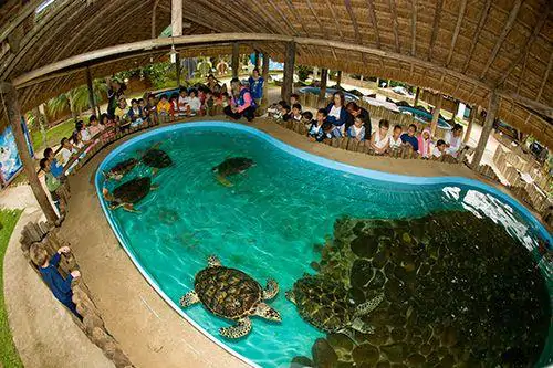 CREATOR: gd-jpeg v1.0 (using IJG JPEG v62), quality = 80