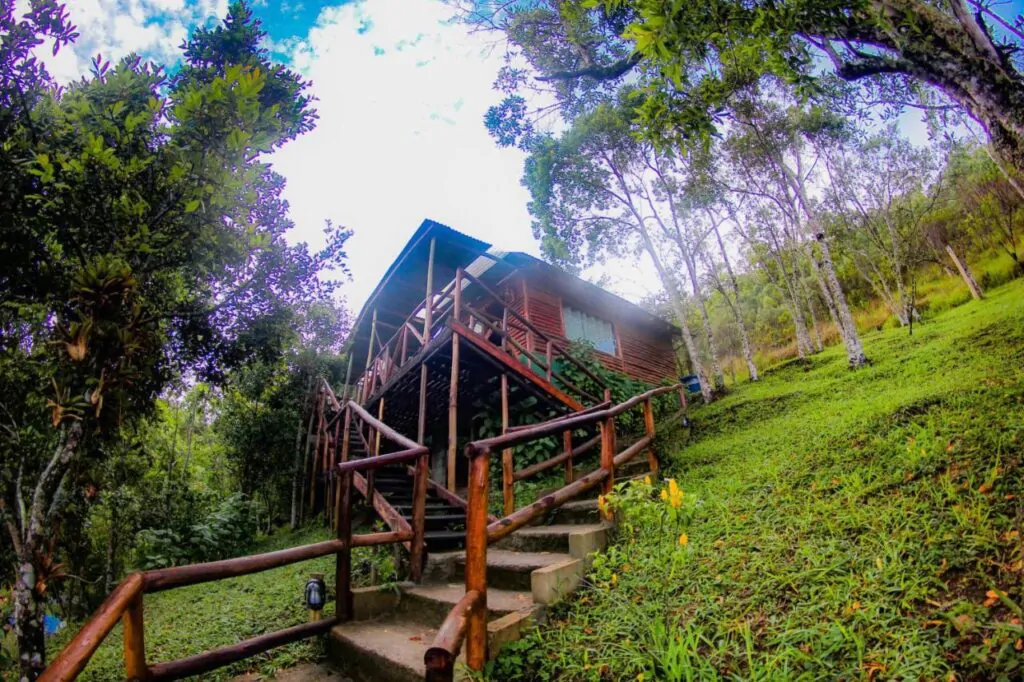 WhatsApp Image 2024-07-09 at 13.17.23 (1)